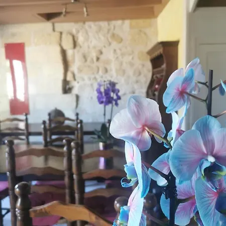 Vignobles Fabris Bed & Breakfast