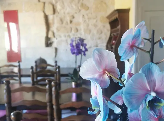 Vignobles Fabris לינה וארוחת בוקר